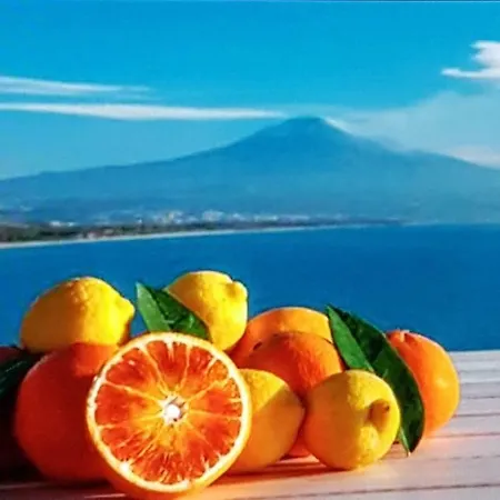 A Casa Dei Miei